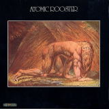 atomic_roostar